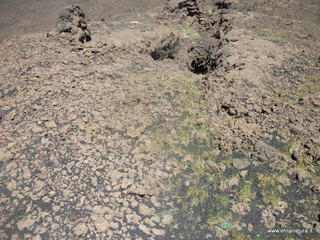 otta monte Nero-12-05-2013 11-31-57
